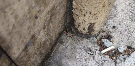 Ritrovato bossolo su un marciapiede, indagini in corso