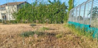 San Giorgio del Sannio – Club di calcio in trasferta, è scontro politico