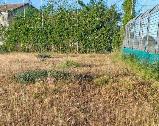 San Giorgio del Sannio – Affidamento del ‘Chiavelli’, l’opposizione: “Più attenzione al mondo sportivo”