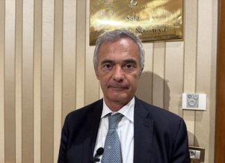 Malattie rare, De Rita (Censis): “Ritardo diagnostico per 2 milioni di persone in Italia”
