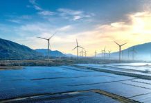 Transizione energetica: da sfida ambientale a leva di crescita