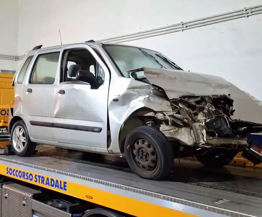incidente cinghiale