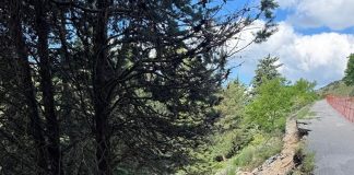 Bucciano – Strada per il Santuario, si punta alla messa in sicurezza