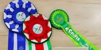 Al World dog show di Bologna trionfa ‘Fontana’, cane di San Giorgio la Molara