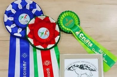 Al World dog show di Bologna trionfa ‘Fontana’, cane di San Giorgio la Molara