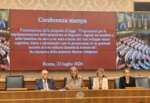 Pediatri: “No a dispositivi digitali sotto i 3 anni”, prima proposta di legge