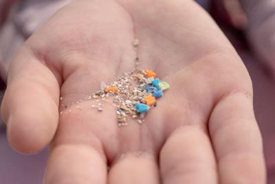 microplastiche_corpo_canva