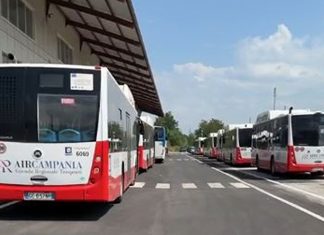 Trasporti, da sabato parte la gestione Air: restyling fermate e 42 nuovi bus