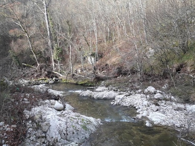 torrente tammarecchia