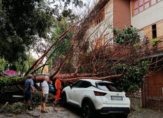 Violento nubifragio a San Giorgio del Sannio: pino si abbatte sulle auto, conta dei danni