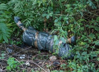 Cane morto, chiuso nella plastica e gettato via