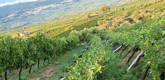 Tromba d’aria su Castelvenere: tetti divelti nel centro storico, strade bloccate e viticoltura in ginocchio