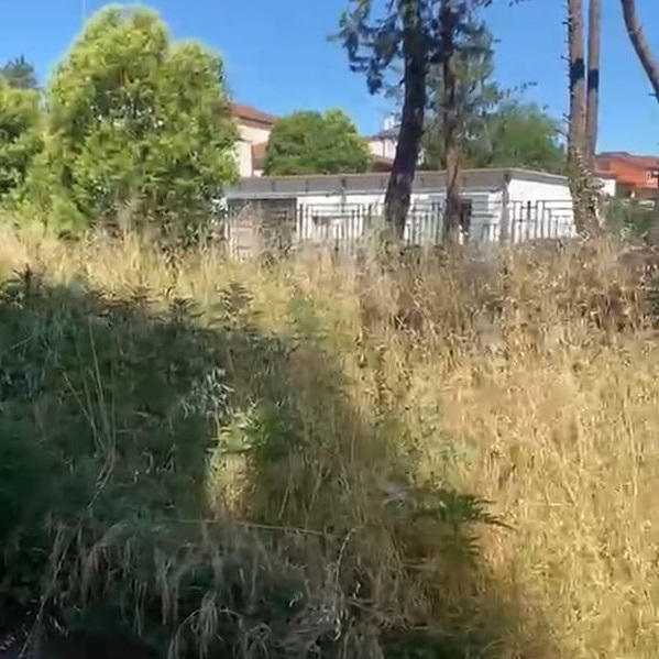 ex scuola san modesto