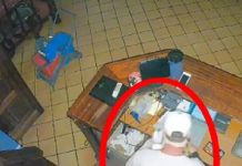Furto all’Irish, portata via la cassa: ladro ripreso dalle telecamere
