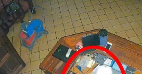 Furto all’Irish, portata via la cassa: ladro ripreso dalle telecamere