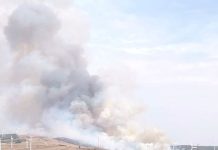 Vasto incendio nel Fortore: complicate le operazioni di spegnimento