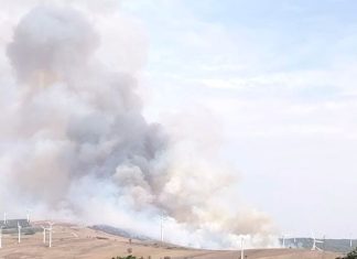Vasto incendio nel Fortore: complicate le operazioni di spegnimento