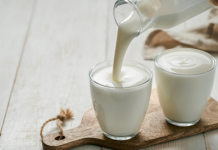 Alimenti, studio UniFi sui benefici dei lieviti del kefir