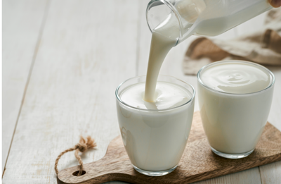 Alimenti, studio UniFi sui benefici dei lieviti del kefir