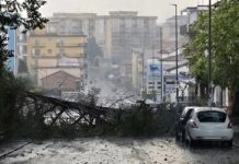 Pioggia e raffiche di vento: danni nella zona alta della città