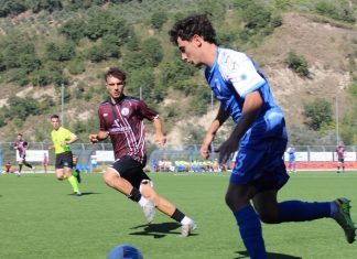 Eccellenza – Apice, falsa partenza: ko interno all’esordio