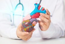 Cardiomiopatia ipertrofica ostruttiva: “Terapia innovativa efficace e sicura a 5 anni”