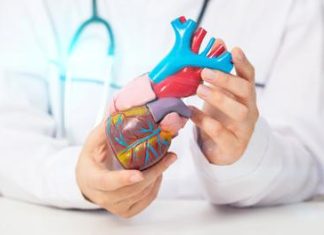 Cardiomiopatia ipertrofica ostruttiva: “Terapia innovativa efficace e sicura a 5 anni”