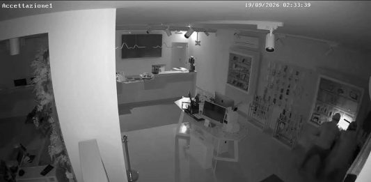 Montesarchio, furto in un negozio di telefonia: rubati smartphone e accessori, la rabbia dei titolari