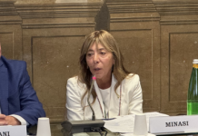 Minasi (Lega): “Prevenzione, cure e centralità del paziente le priorità”