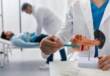 Tumore pancreas, team Aoui Verona e San Raffaele Milano vincono bando Fondazione Veronesi-Ficog