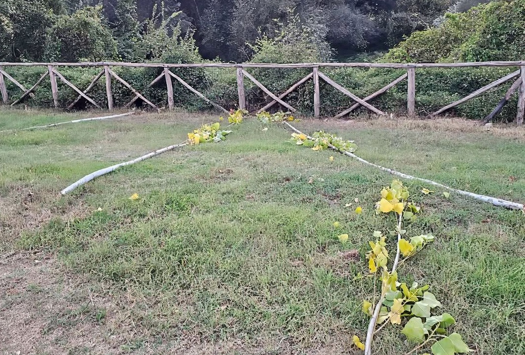 parco volturno alberi spezzati