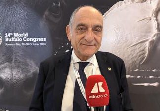 Campanile (Buffalo Federation), “Robotica e genomica cambieranno l’allevamento”