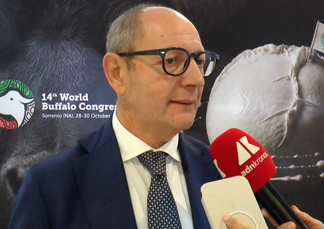 Raimondo (Tutela mozzarella bufala campana Dop): “Filiera 1,2-1,3 mld, quasi una Fiat”