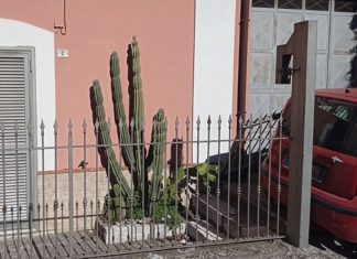 Perde il controllo dell’auto e finisce contro il cancello di un’abitazione: perde la vita 74enne