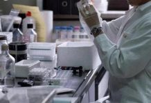 Nefropatia da IgA, monoclonale umanizzato preserva funzione renale