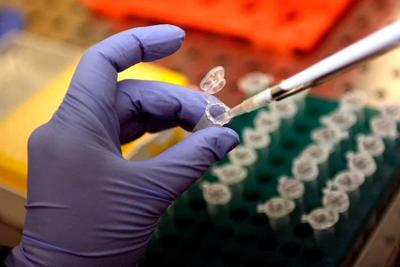 laboratorio_manoguanti_fg