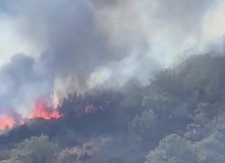 Ancora roghi in valle Caudina: questa volta brucia la montagna intorno Paolisi