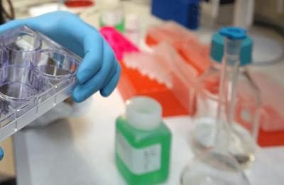 Tumori, in Europa mortalità maschile in calo del 7,8%: in Italia 15 mesi per le nuove terapie